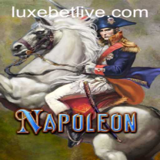 Exploring Napoleon: The Luxurious Card Game Experience